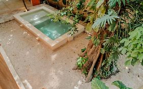 Mamacha - Natural Residence